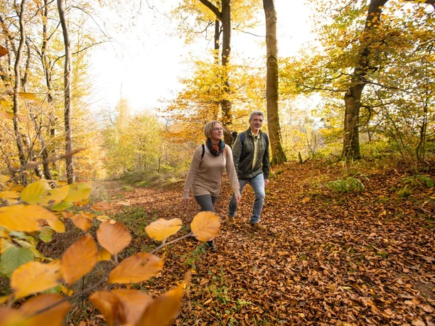 Alheimer Turm Wanderung zum Turm mit Menschen Urheber EMF Fotograf Stefan Bochenek kleiner