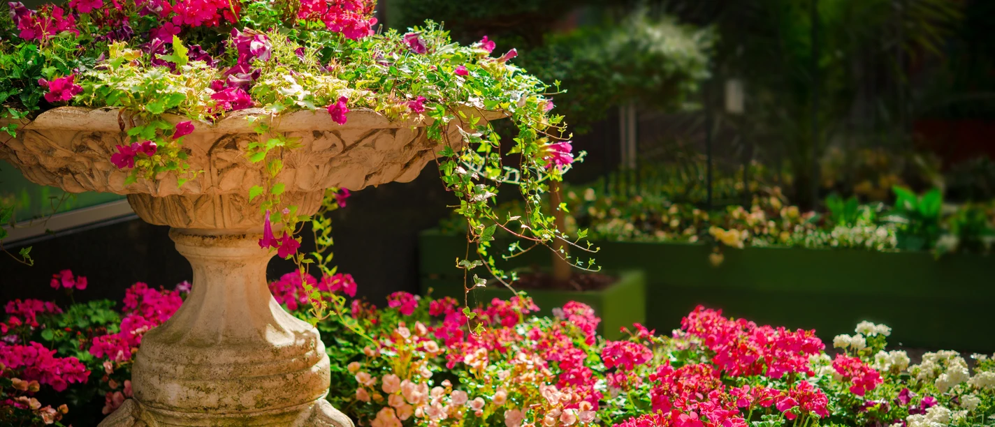 dar1930-garden-670516.jpg