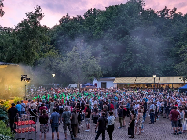 RockImPark2025_195352060_©Staatsbad2025.jpg