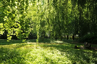 Park Friedrichsruh.jpg