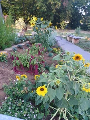 Beet Bibelgarten.jpg