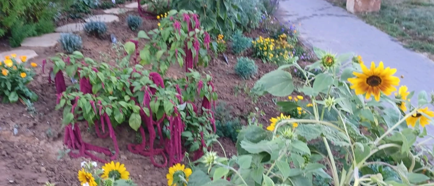 Beet Bibelgarten.jpg