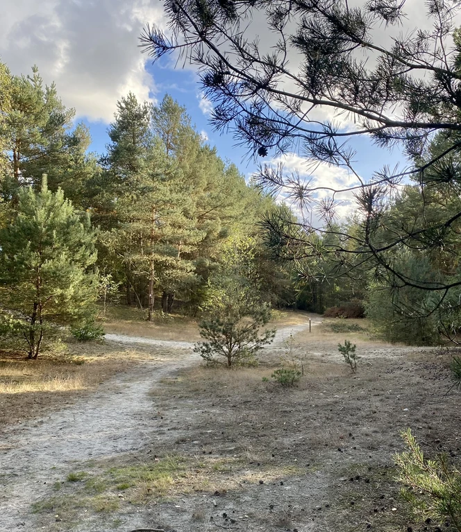 Wanderung Hümmling-Pfad Tinner Loh – Familienausflug im Herbst ©Naturpark Moor-Veenland (15).jpeg
