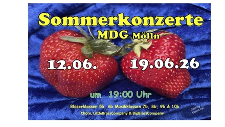 Erdbeer-Plakat 5.jpeg.jpeg