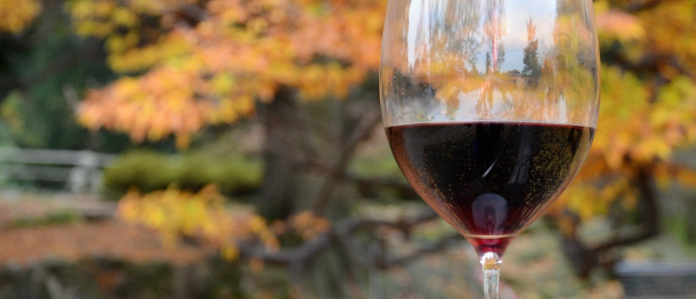 Weinprobe im Herbstwald