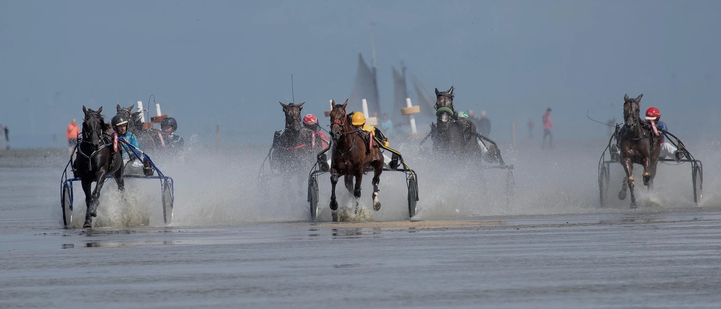 12.05.20. Duhner Wattrennen Traber. Foto Hartmut Adelmann. Copyright Nordseeheilbad Cuxhaven GmbH..jpg