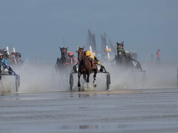 12.05.20. Duhner Wattrennen Traber. Foto Hartmut Adelmann. Copyright Nordseeheilbad Cuxhaven GmbH..jpg