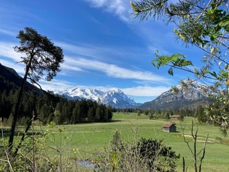 Blick ins Paradies.JPG