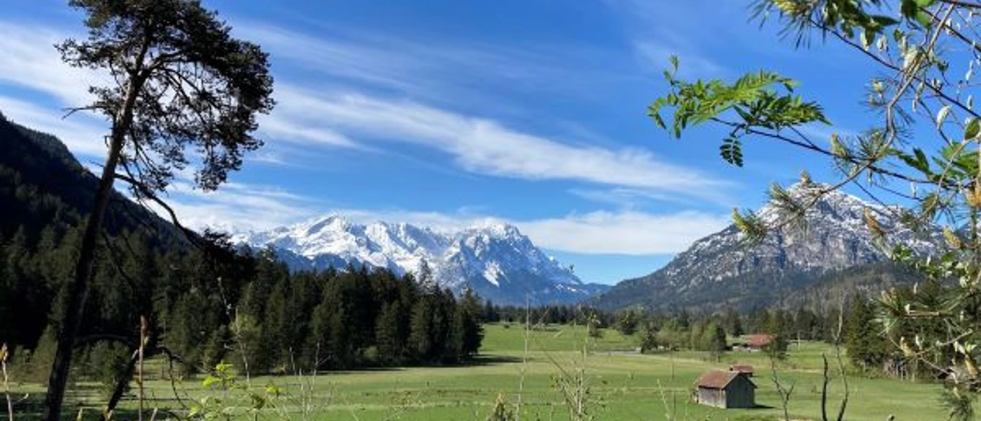 Blick ins Paradies.JPG