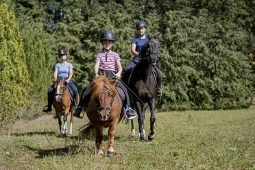 Reiten