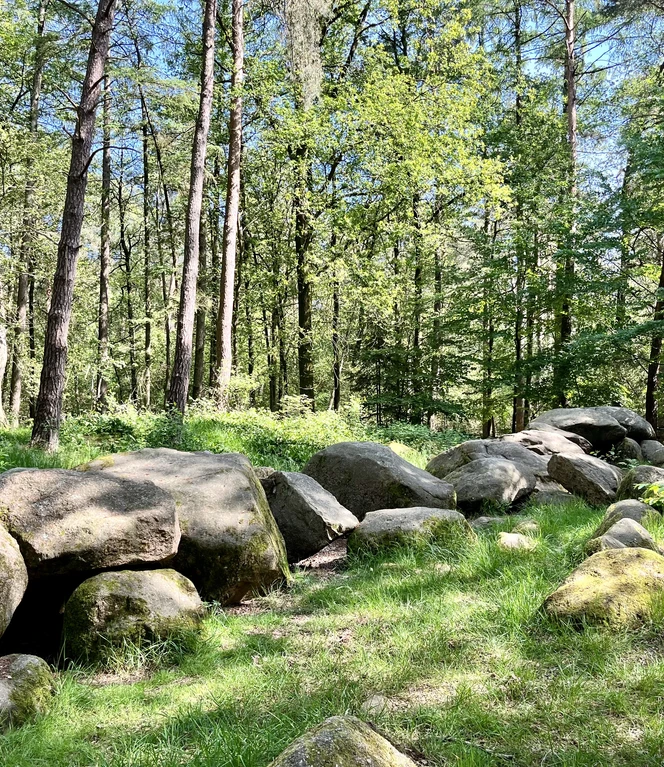 Großsteingrab in der Kunkenvenne, Thuine ©Emsland Tourismus GmbH (2).jpg