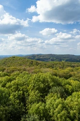 Teutoburger Wald