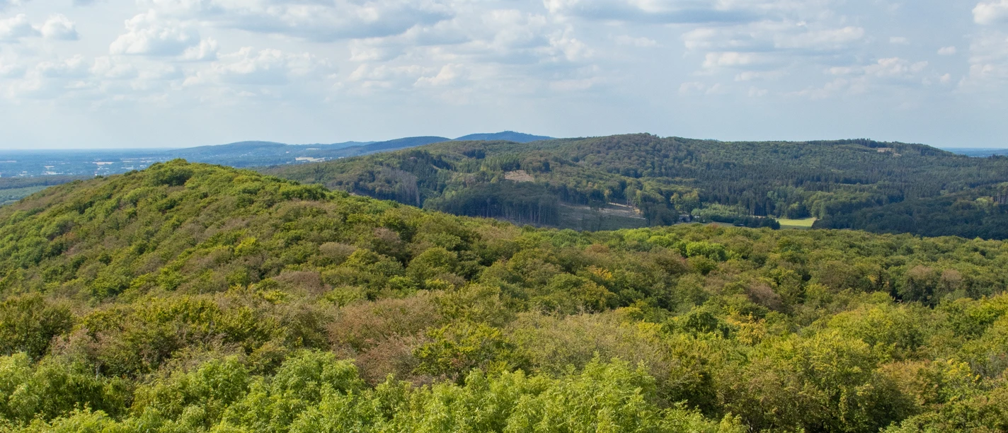 Teutoburger Wald