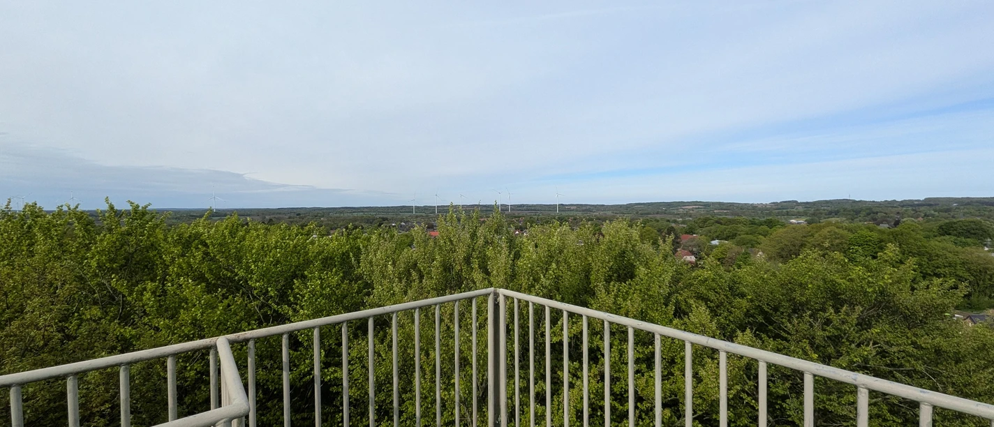 Albersdorf-Aussichtsturm2026_01.jpg