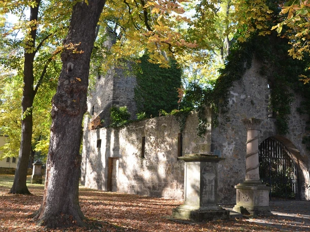 Vöppstedter Ruine Salzgitter(17)_HD_16zu9.JPG Vöppstedter Steinruine mit Efeu unter herbstlichen Bäumen, davor Steinsäulen.