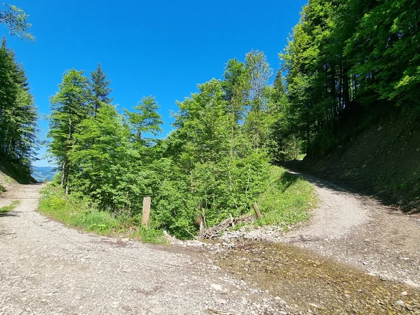 Zw. Flühli Salzbüel und Alp Baumgarten