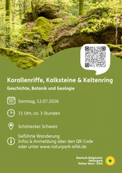 Flyer "Korallenriffe, Kalksteine & Keltenring"