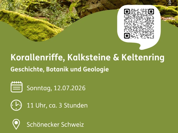 Flyer "Korallenriffe, Kalksteine & Keltenring"