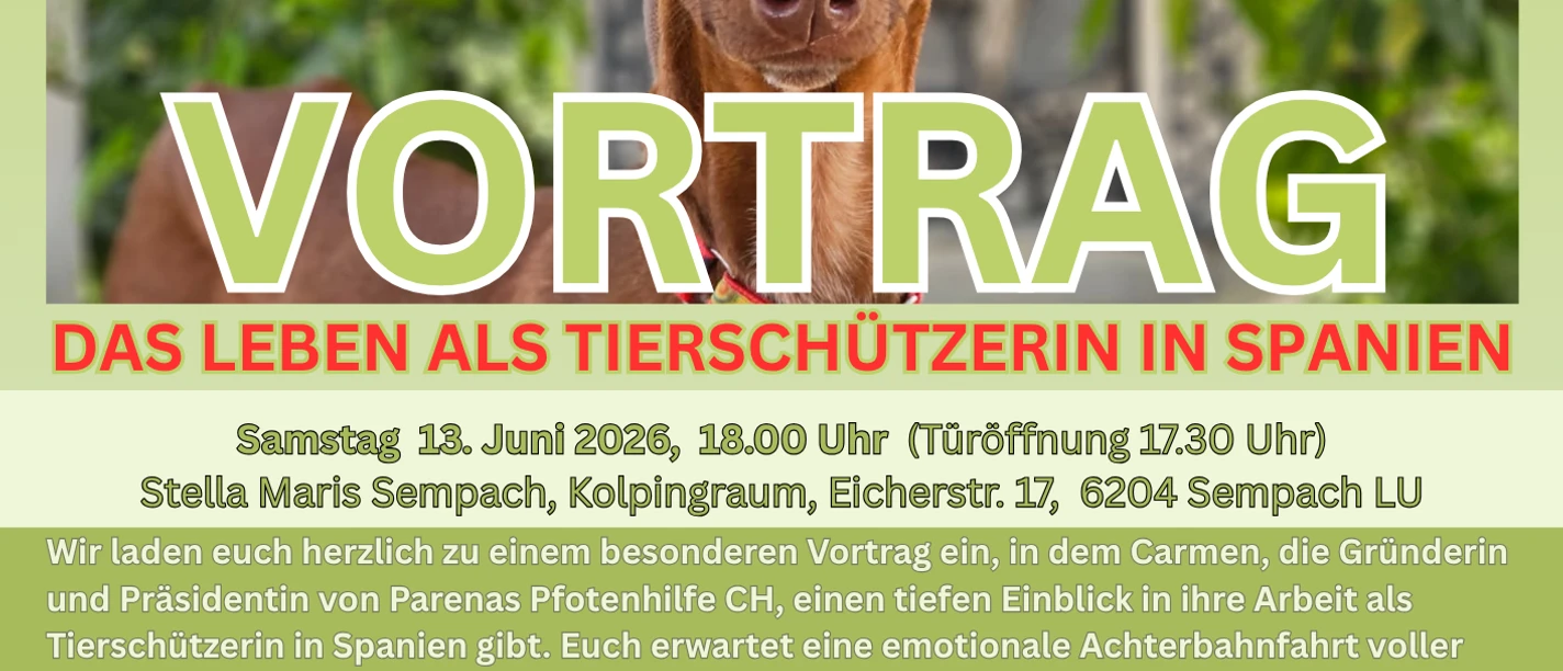VORTRAG Flyer Sempach