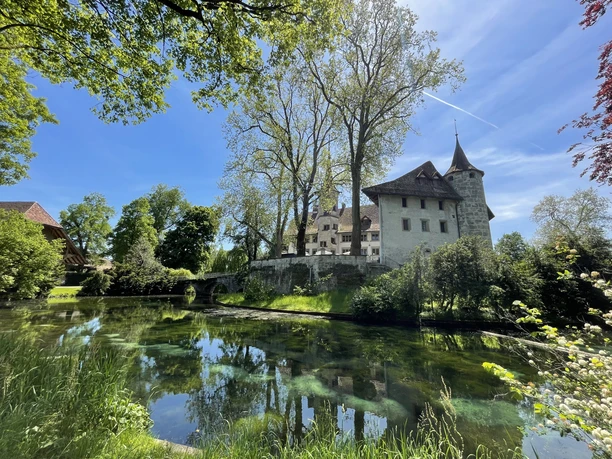 Der idyllische Schlossweiher an einem Sommertag