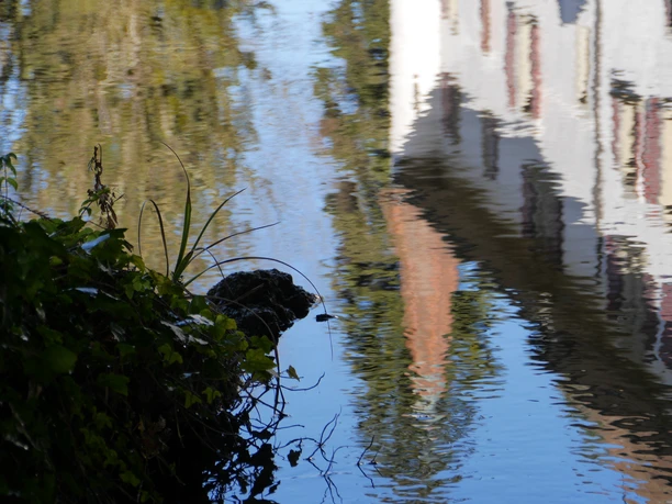 Schloss Landshut spiegelt sich im Wasser