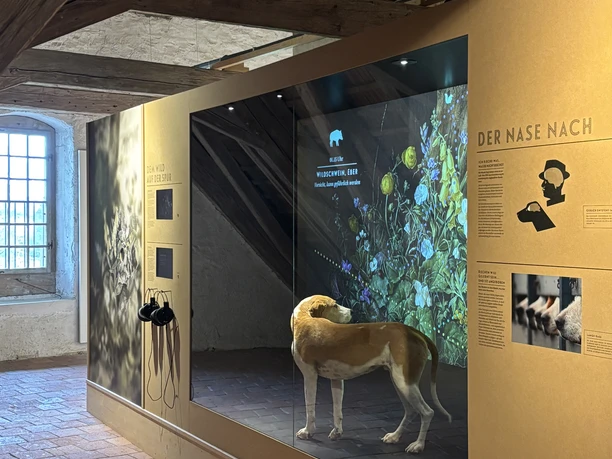 Bestehende Ausstellung des Schweizer Museums für Wild und Jagd (Der Jagdhund)