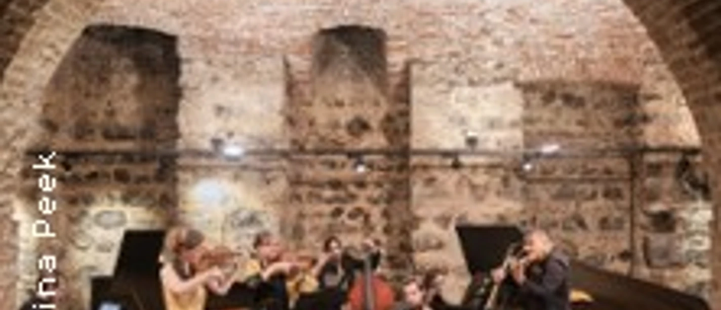 Kammerensemble mit Streichern und Bläsern in historischem Gewölbekeller vor Publikum.