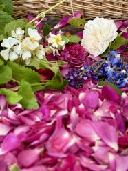 IMG_9316.jpeg