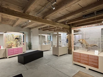 Impression aus der Sonderausstellung