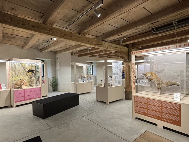 Impression aus der Sonderausstellung