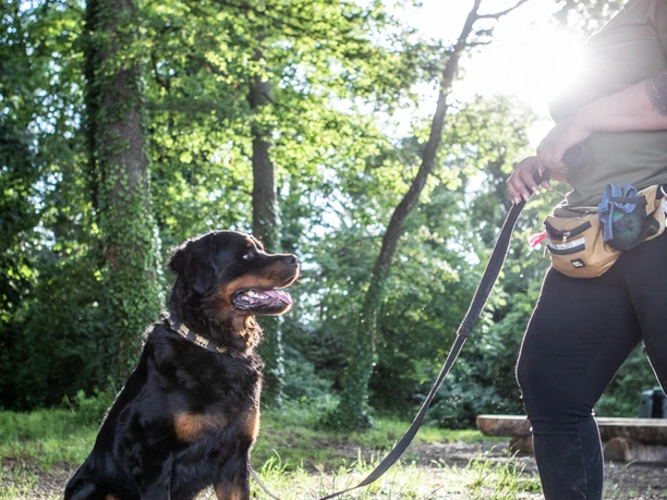 Myriam Zehnder, https://hundeschule-sense.ch