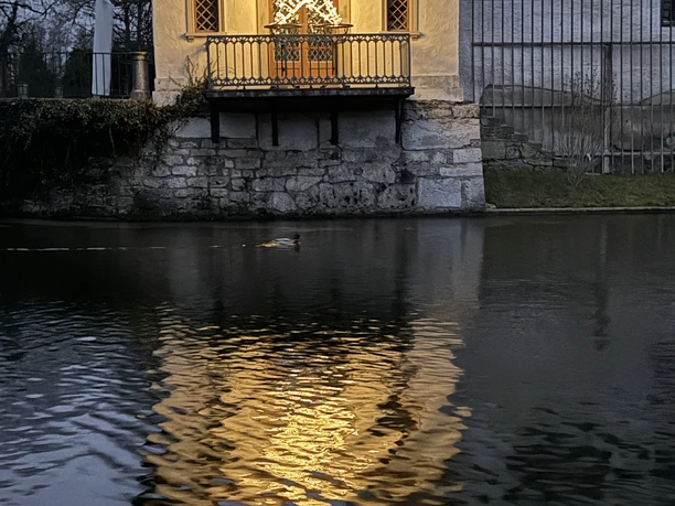 Weihnachtsstern über Schlossweiher