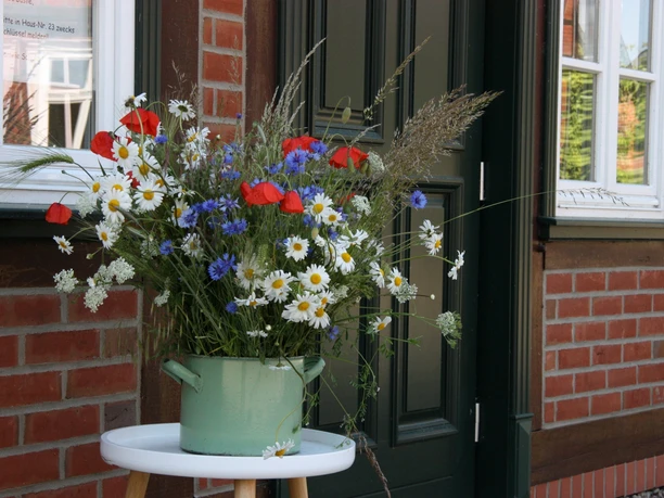 Pension Plater Hermann