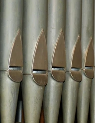 falco-organ-536407.jpg