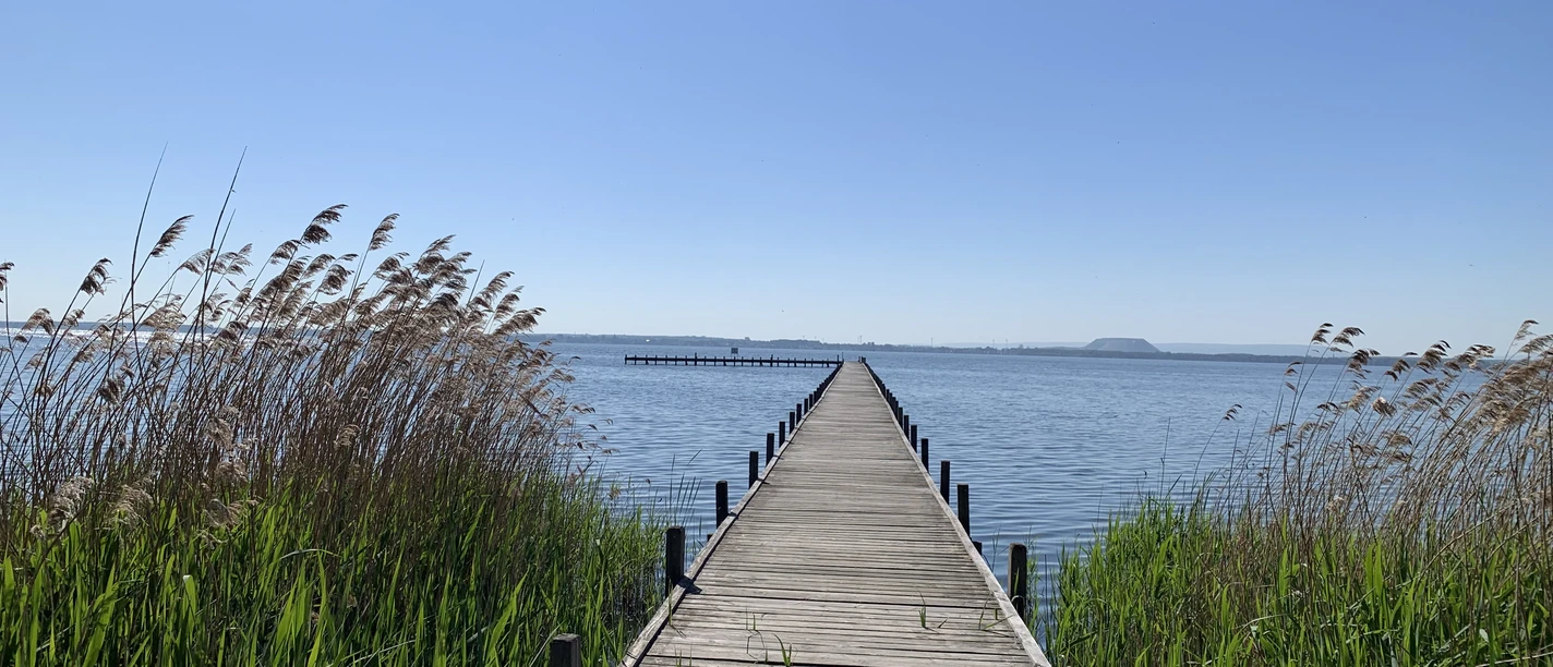 Meditation am Meer Langer Holzsteg führt durch Schilf auf das ruhige, blaue Wasser des Steinhuder Meeres.