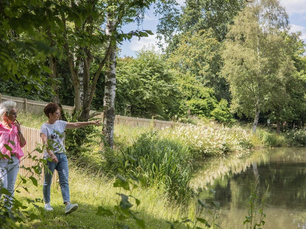 Weddelsee in Medebach