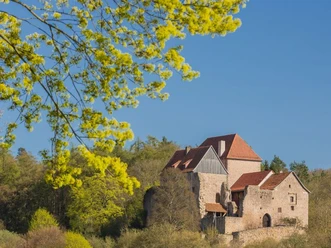 Tannenburg_c_MArkus_Balkow.jpg