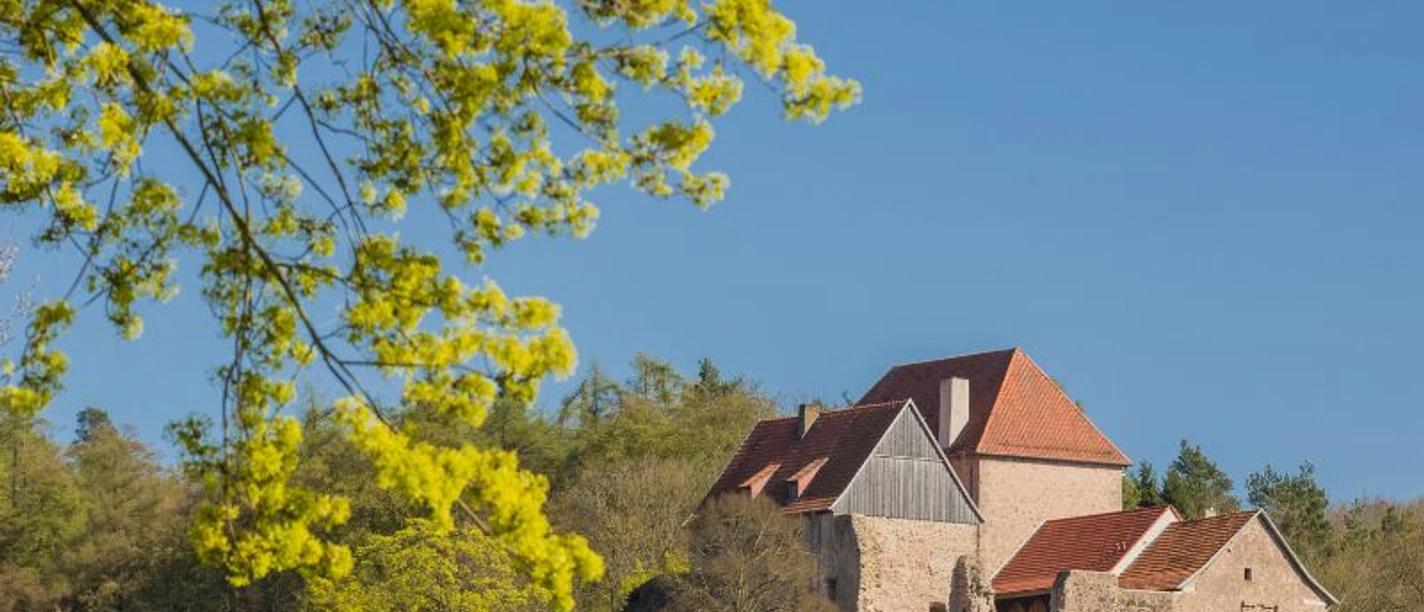 Tannenburg_c_MArkus_Balkow.jpg