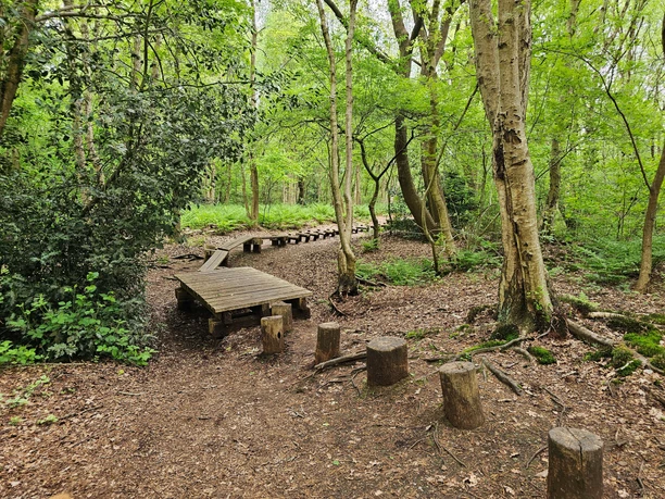Erikasee 20260510_114625 (c) Tanja Mehl_Erlebnis Bremerhaven_WEB.jpg Ein Balancierpfad aus Holzstämmen und Brettern führt durch einen grünen Laubwald.