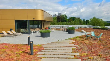 Main Bad Bornheim - Dachterrasse Dachterrasse mit Sitzmöbeln und bepflanzter Fläche