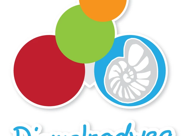 Diemelradweg Logo