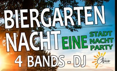 Dj Party Plakat