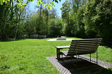 Kneipp-Tretbecken in Amelunxen Holzbank vor Kneipptretbecken auf sonniger Wiese, umgeben von hohen Bäumen.