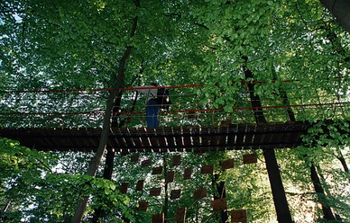 Hängebrücke am Rothaarsteig
