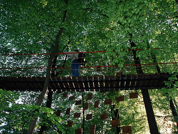 Hängebrücke am Rothaarsteig