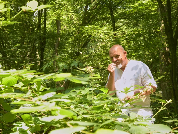 Abenteuer Wald - Waldbaden für Erw. - Kunst & Natur-Kulturwoche auf Schloss Benkhausen