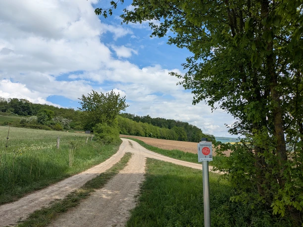 Rastplatz, Vardeilsen, Ausblick Leinetal, CC0