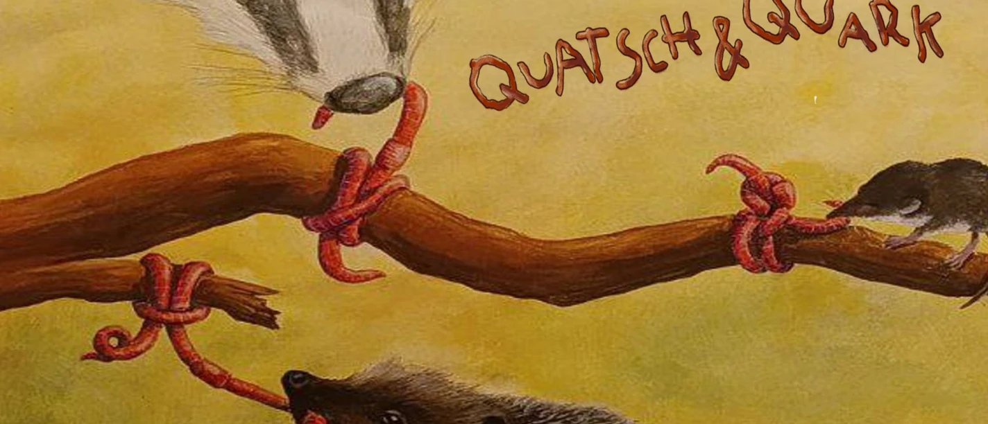 QUATSCH UND QUARK 1920x1080.jpg