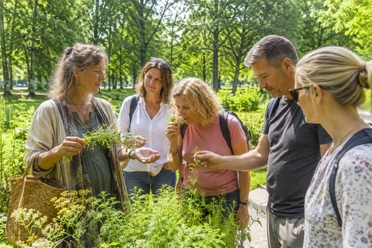 Kräuterwanderung für Erwachsene im Schlosspark von Benkhausen