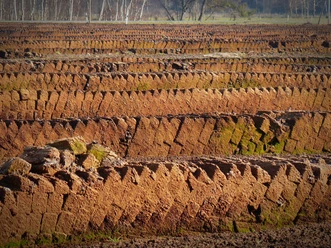bernswaelz-peat-1263431.jpg
